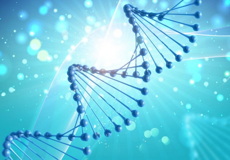 how to donate stem cells