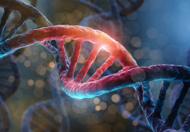 why donate stem cells