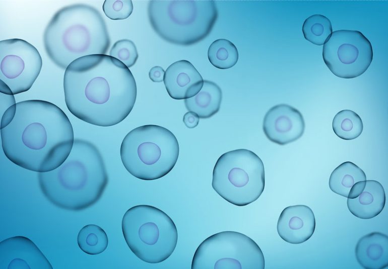 how are stem cells